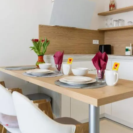 公寓 Luma Diklo - Classic One Bedroom With Sea View 扎达尔